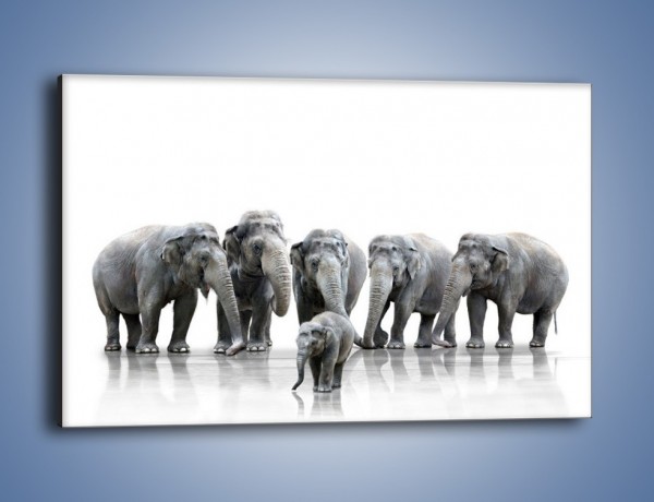 Obraz na płótnie – Na przyjęciu u słoniątka – jednoczęściowy prostokątny poziomy Z209