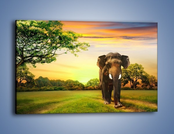 Obraz na płótnie – Lekki krok słonia – jednoczęściowy prostokątny poziomy Z218