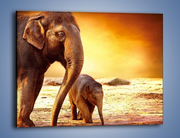 Obraz na płótnie – Tatuś i jego słoniątko – jednoczęściowy prostokątny poziomy Z219