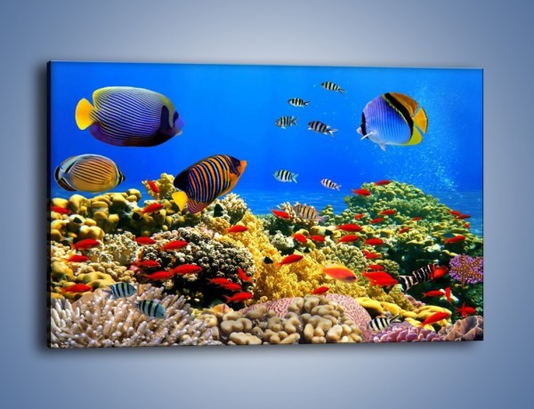 Obraz na płótnie – Kolory tęczy pod wodą – jednoczęściowy prostokątny poziomy Z220