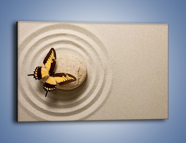 Obraz na płótnie – Samotność motyla – jednoczęściowy prostokątny poziomy Z223