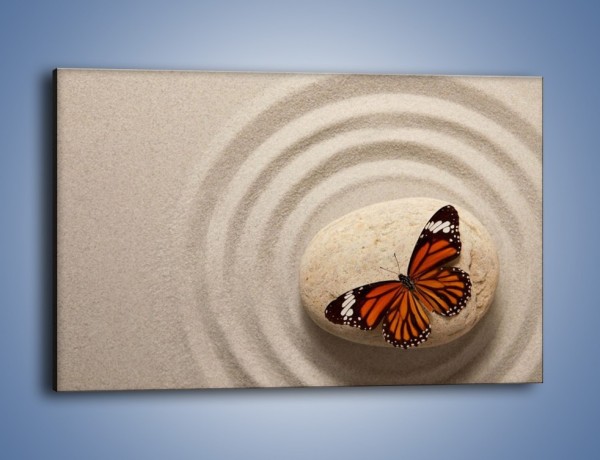 Obraz na płótnie – Spoczynek motyla na kamieniu – jednoczęściowy prostokątny poziomy Z224