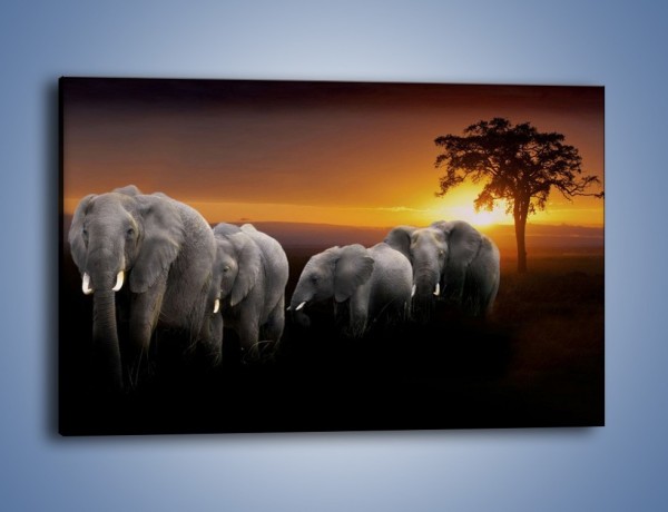 Obraz na płótnie – Powrót słoni do domu – jednoczęściowy prostokątny poziomy Z229