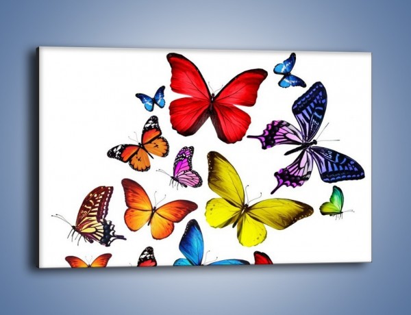 Obraz na płótnie – Kolorowo wśród motyli – jednoczęściowy prostokątny poziomy Z236