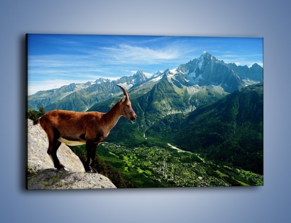 Obraz na płótnie – Kozica w górskiej panoramie – jednoczęściowy prostokątny poziomy Z260