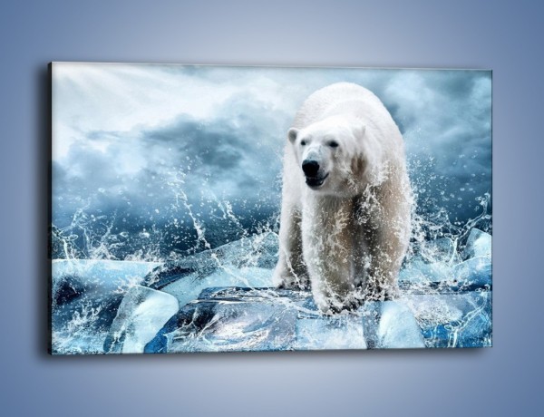 Obraz na płótnie – Polarny niedźwiedź na lodzie – jednoczęściowy prostokątny poziomy Z264