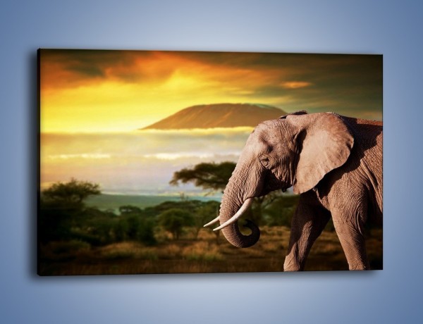 Obraz na płótnie – Smutek w oczach słonia – jednoczęściowy prostokątny poziomy Z275