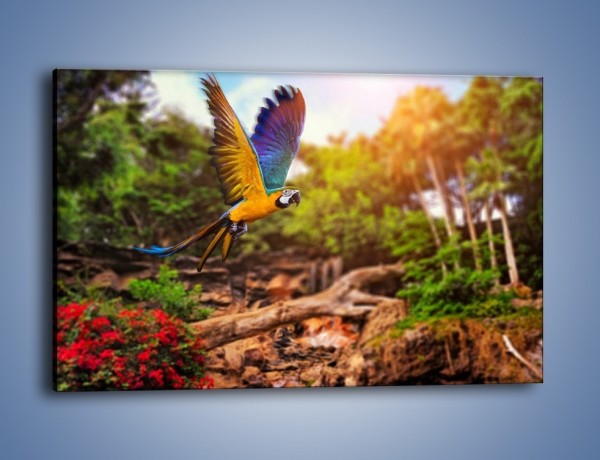 Obraz na płótnie – Kolorowa papuga w locie – jednoczęściowy prostokątny poziomy Z280