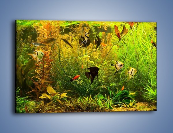 Obraz na płótnie – Zielony świat ryb – jednoczęściowy prostokątny poziomy Z287