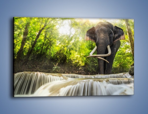 Obraz na płótnie – Słoń i mały wodospad – jednoczęściowy prostokątny poziomy Z305