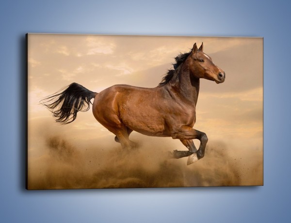 Obraz na płótnie – Koń który nie chce się zatrzymać – jednoczęściowy prostokątny poziomy Z314