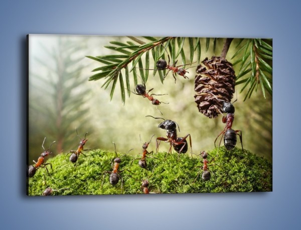 Obraz na płótnie – Praca mrówek od rana do wieczora – jednoczęściowy prostokątny poziomy Z321