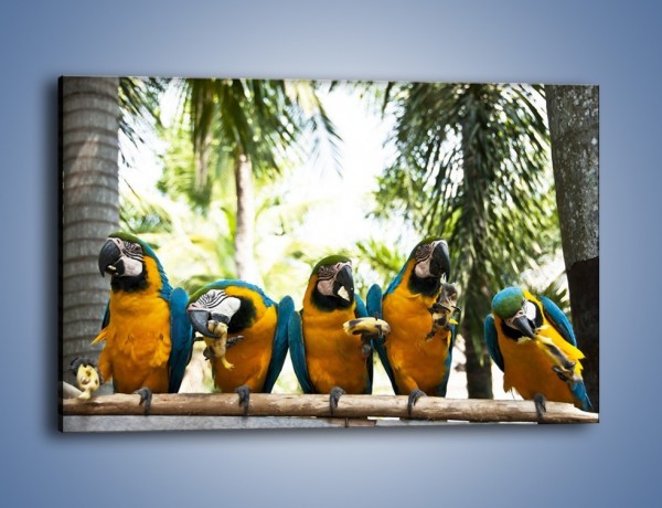 Obraz na płótnie – Piknik z papugami – jednoczęściowy prostokątny poziomy Z322