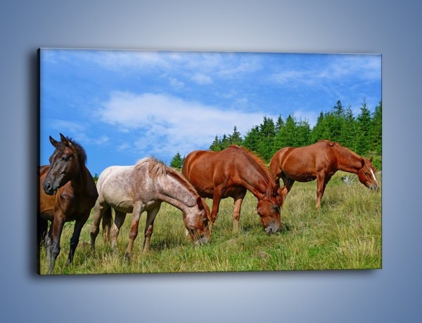 Obraz na płótnie – Spokój las i konie – jednoczęściowy prostokątny poziomy Z330
