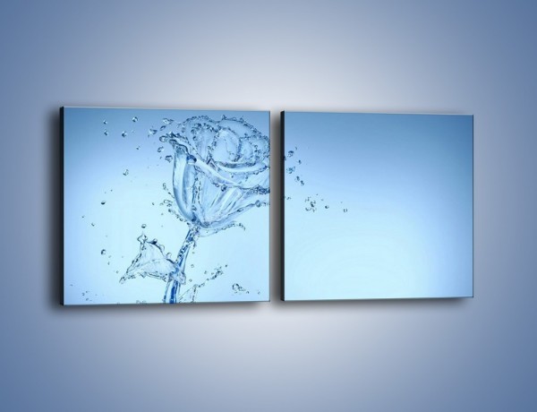 Obraz na płótnie – Kwiat tworzony wodą – dwuczęściowy kwadratowy poziomy GR182