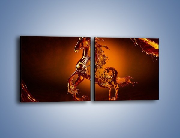 Obraz na płótnie – Wodny koń w mocnym świetle – dwuczęściowy kwadratowy poziomy GR228