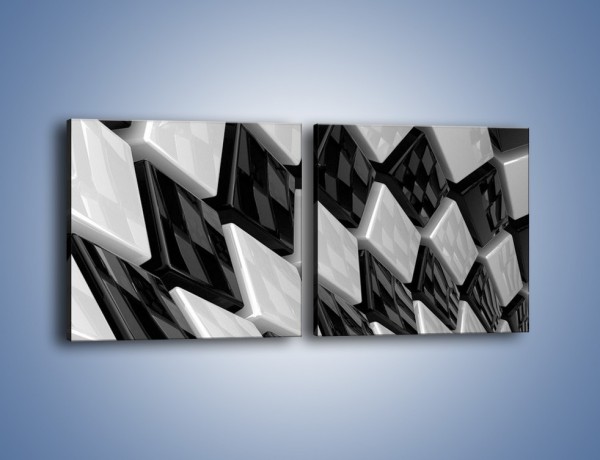 Obraz na płótnie – Czarne czy białe – dwuczęściowy kwadratowy poziomy GR425