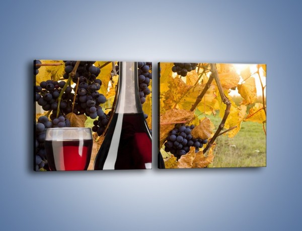 Obraz na płótnie – Wino wśród winogron – dwuczęściowy kwadratowy poziomy JN007