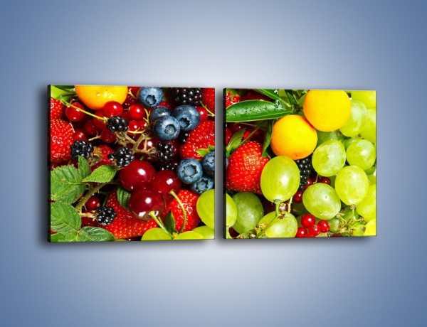 Obraz na płótnie – Wymieszane kolorowe owoce – dwuczęściowy kwadratowy poziomy JN037