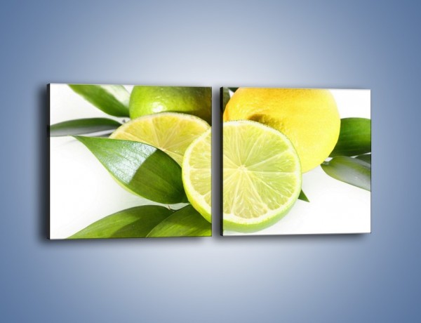 Obraz na płótnie – Mix cytrynowo-limonkowy – dwuczęściowy kwadratowy poziomy JN058