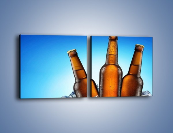 Obraz na płótnie – Szron na butelkach piwa – dwuczęściowy kwadratowy poziomy JN075