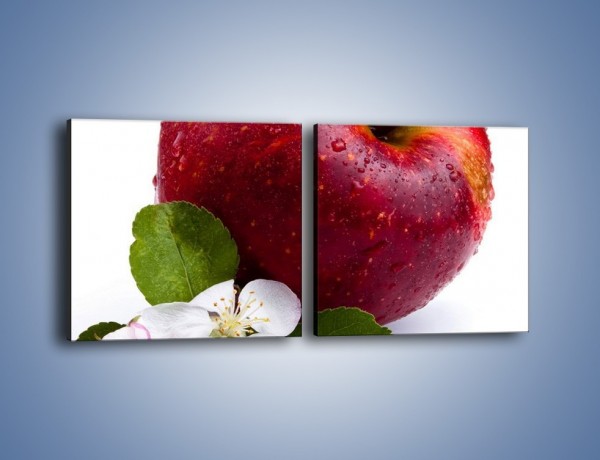 Obraz na płótnie – Polskie zdrowe jabłko – dwuczęściowy kwadratowy poziomy JN102