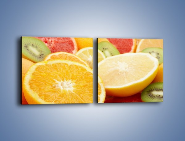 Obraz na płótnie – Kwaśny kęs witamin owocowych – dwuczęściowy kwadratowy poziomy JN157