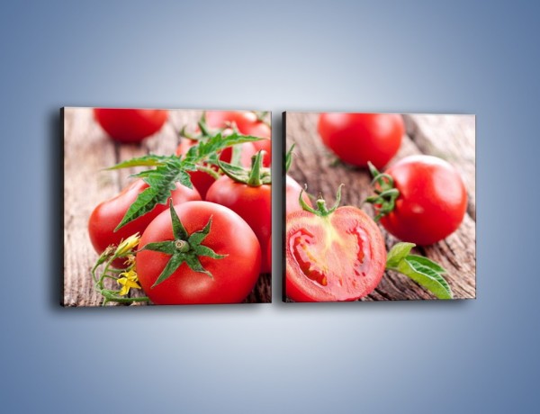 Obraz na płótnie – Pomidorowa uczta – dwuczęściowy kwadratowy poziomy JN201
