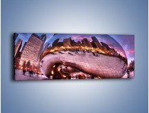 Obraz na płótnie – Cloud Gate w Chicago – jednoczęściowy panoramiczny AM352