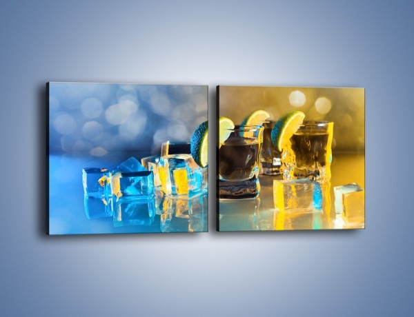 Obraz na płótnie – Zimne shoty z limonką – dwuczęściowy kwadratowy poziomy JN294