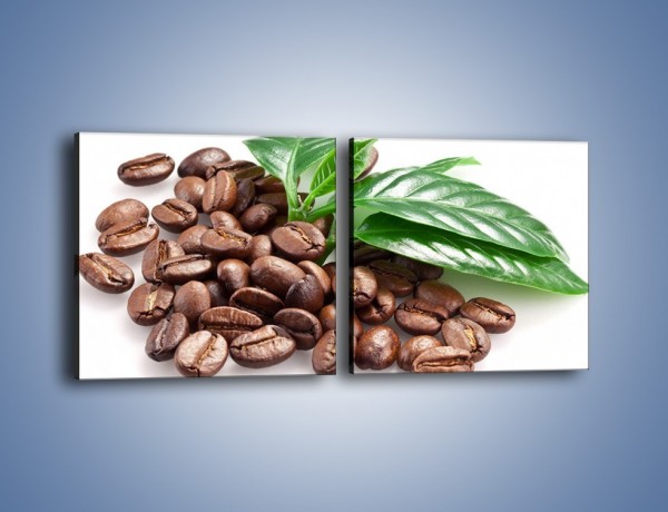 Obraz na płótnie – Kawa wśród zieleni – dwuczęściowy kwadratowy poziomy JN418