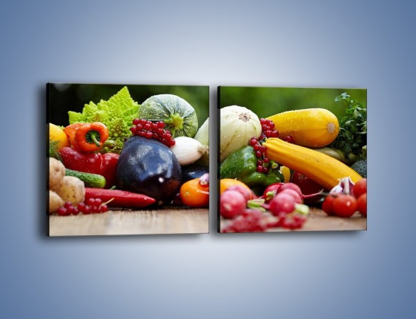 Obraz na płótnie – Warzywa na ogrodowym stole – dwuczęściowy kwadratowy poziomy JN483