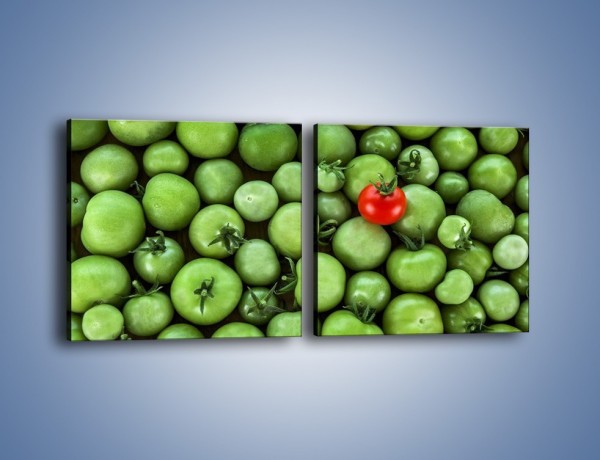 Obraz na płótnie – Prawie dojrzałe pomidory – dwuczęściowy kwadratowy poziomy JN517