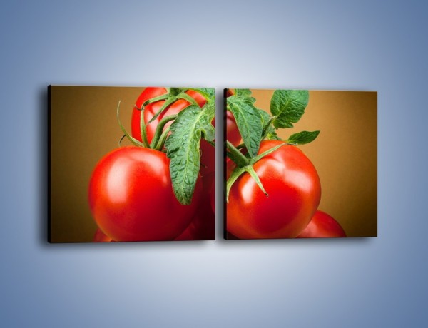 Obraz na płótnie – Pomidorki górą – dwuczęściowy kwadratowy poziomy JN581