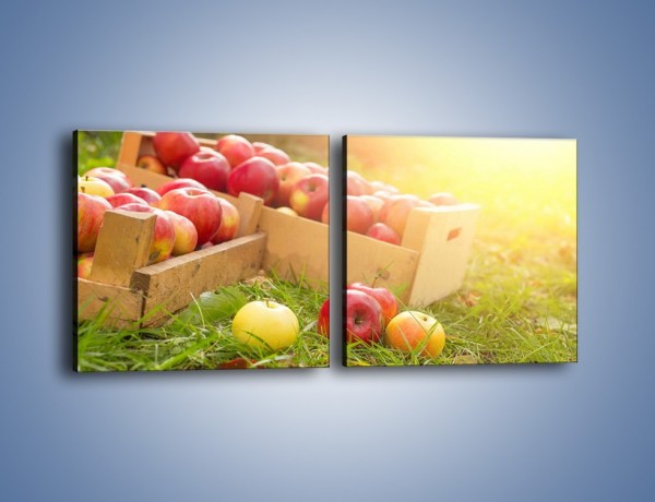 Obraz na płótnie – Jabłka skąpane w trawie – dwuczęściowy kwadratowy poziomy JN628