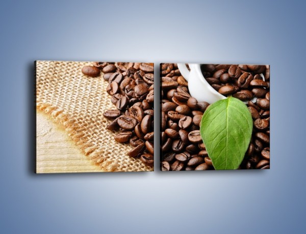 Obraz na płótnie – Liść na kawie – dwuczęściowy kwadratowy poziomy JN688