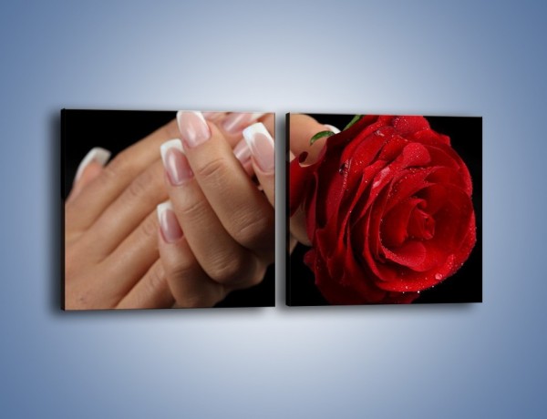 Obraz na płótnie – Kwiat róży w kobiecych dłoniach – dwuczęściowy kwadratowy poziomy K006