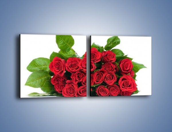 Obraz na płótnie – Idealna wiązanka czerwonych róż – dwuczęściowy kwadratowy poziomy K018