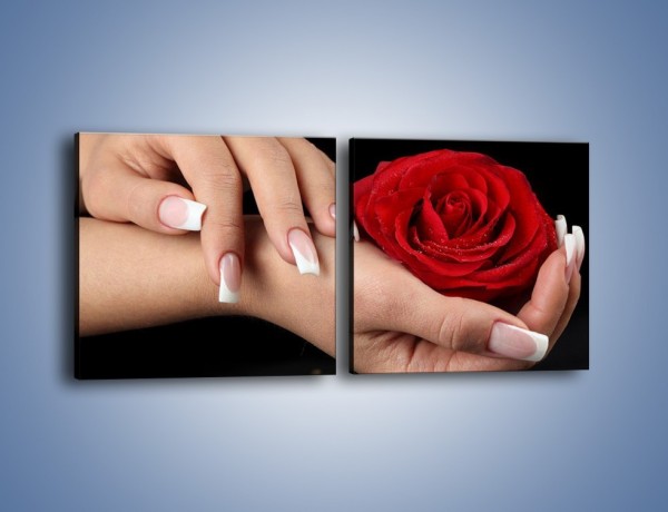 Obraz na płótnie – Czerwona róża w dłoni – dwuczęściowy kwadratowy poziomy K037
