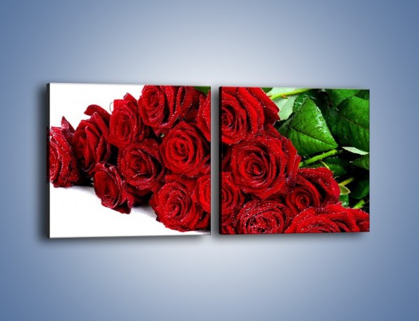Obraz na płótnie – Oszronione czerwone róże – dwuczęściowy kwadratowy poziomy K047