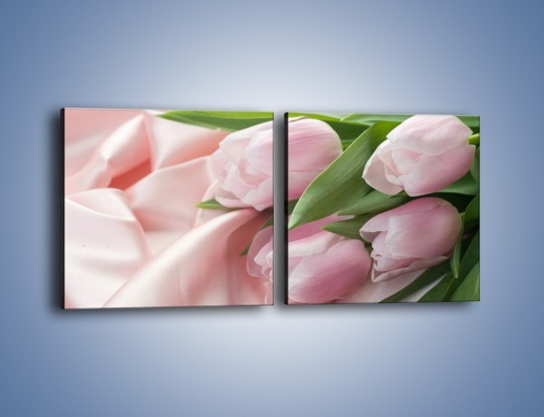 Obraz na płótnie – Odpoczynek tulipanów na atłasie – dwuczęściowy kwadratowy poziomy K050