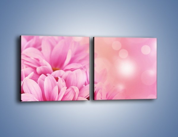 Obraz na płótnie – Kule świetlne i kwiaty – dwuczęściowy kwadratowy poziomy K073