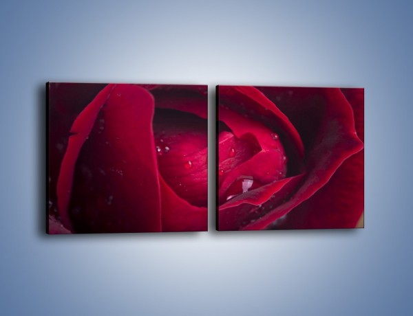 Obraz na płótnie – Ukryte myśli róży – dwuczęściowy kwadratowy poziomy K1018