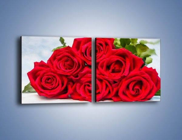Obraz na płótnie – Czerwone róże bez kolców – dwuczęściowy kwadratowy poziomy K1021