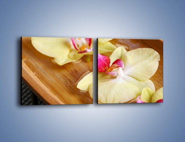 Obraz na płótnie – Drewniana łódeczka z kwiatami – dwuczęściowy kwadratowy poziomy K1024