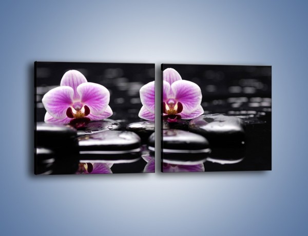 Obraz na płótnie – Duet kwiatowy i czarna woda – dwuczęściowy kwadratowy poziomy K1029