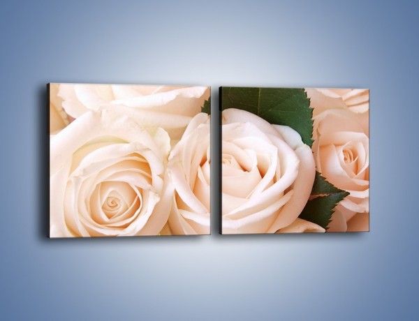 Obraz na płótnie – Liść wśród bezowych róż – dwuczęściowy kwadratowy poziomy K104