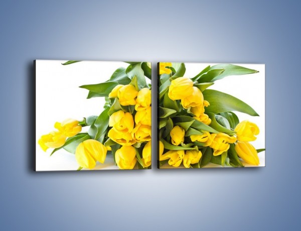Obraz na płótnie – Piramida żółtych tulipanów – dwuczęściowy kwadratowy poziomy K111