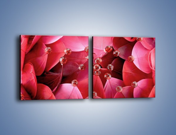 Obraz na płótnie – Koraliki wśród kwiatowych piór – dwuczęściowy kwadratowy poziomy K134