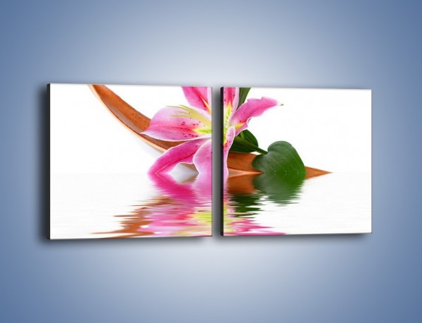 Obraz na płótnie – Odbicie wodne lilii – dwuczęściowy kwadratowy poziomy K142